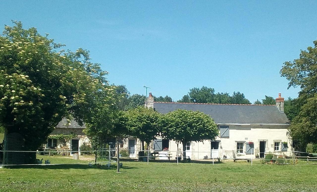 Les Chambres Du Vau Profond Vernoil Exteriér fotografie